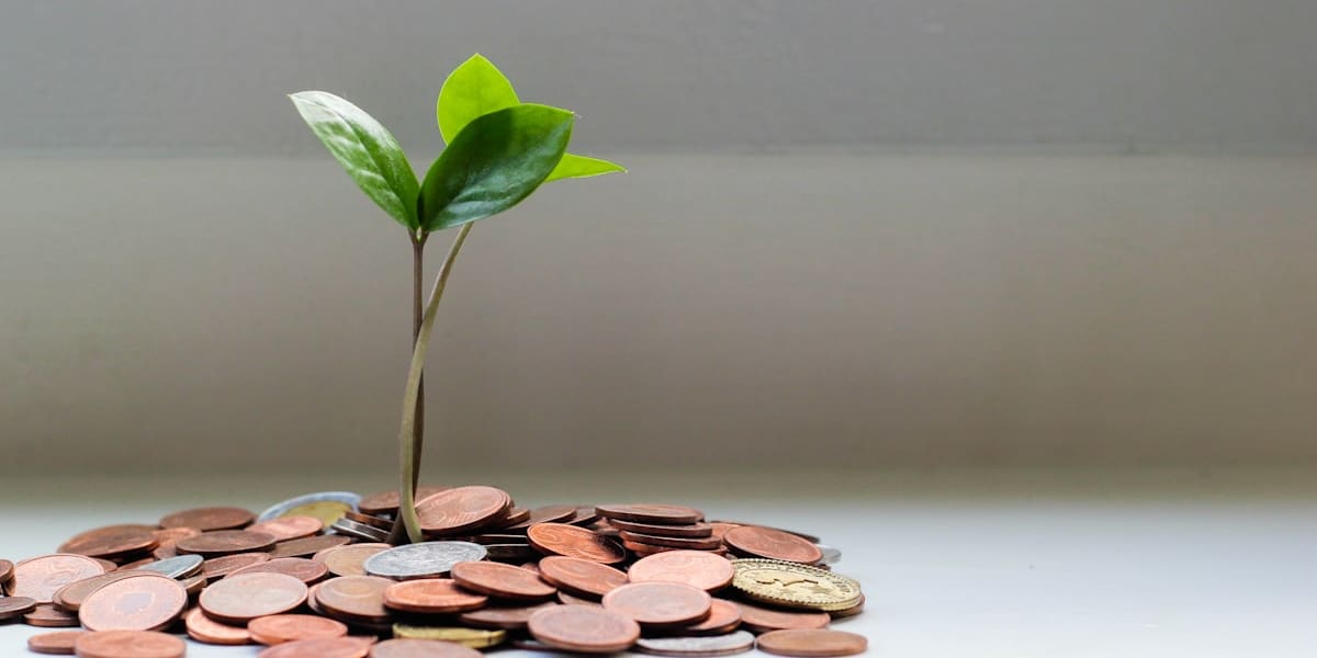 Small green seedling sprouting from a pile of coins against a plain background