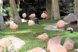 Pink flamingos resting on grass among palm trees and rocks in a garden habitat