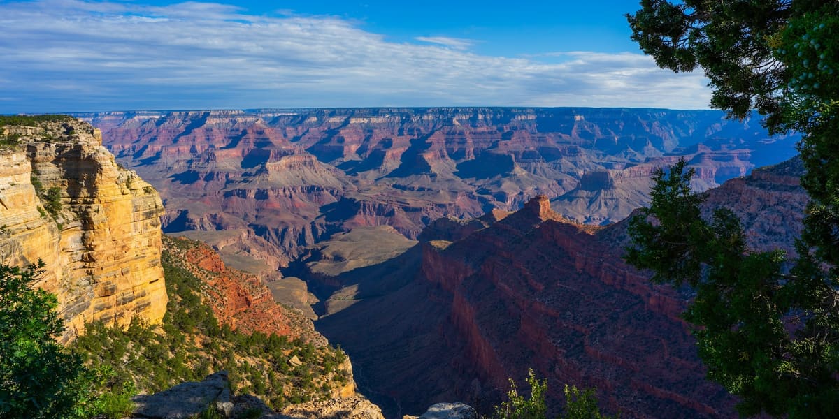 Layered canyon walls and buttes stretching to the horizon from the Grand Canyon South Rim, framed by pine trees