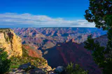 Layered canyon walls and buttes stretching to the horizon from the Grand Canyon South Rim, framed by pine trees