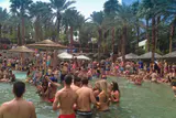 Crowd standing in shallow water at a daytime pool party under palm trees and thatched umbrellas
