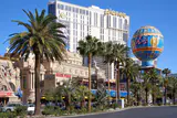 Palm trees along Las Vegas Boulevard with Planet Hollywood and the Paris Las Vegas balloon sign