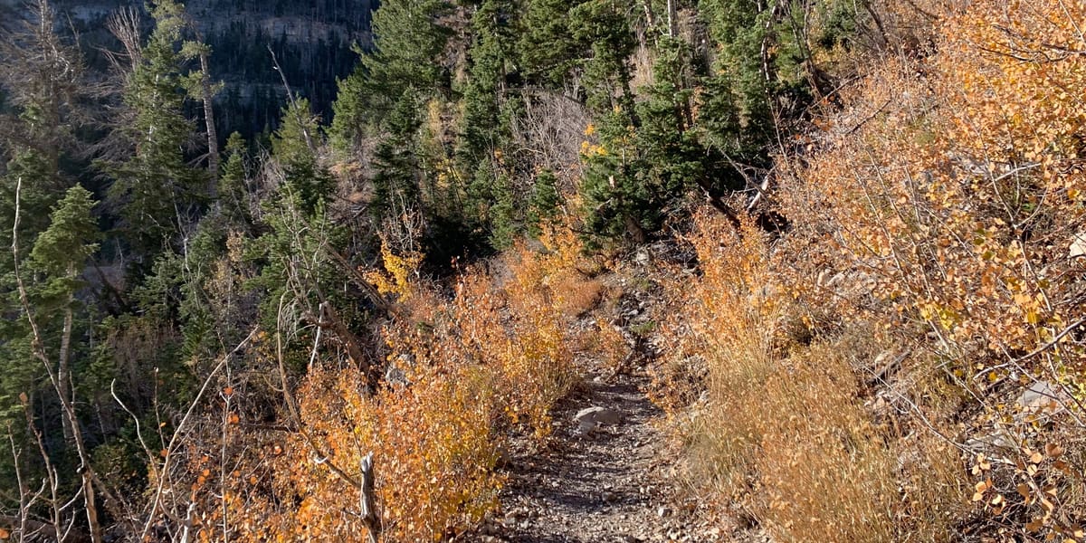 A rocky hiking trail climbing through autumn shrubs and conifers below limestone cliffs