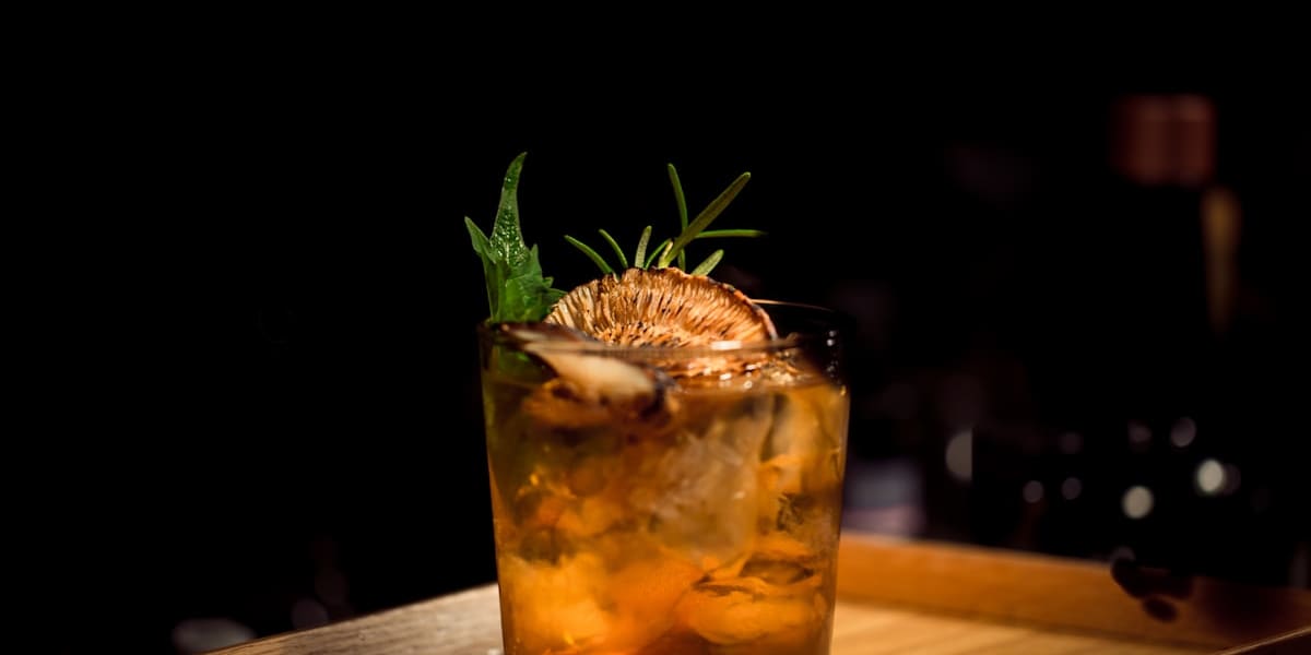 Amber cocktail over ice garnished with dried citrus and fresh herbs on a dark wooden bar
