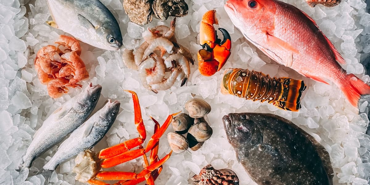 Overhead view of raw seafood on ice, including whole fish, oysters, shrimp, crab legs, clams, and a lobster tail