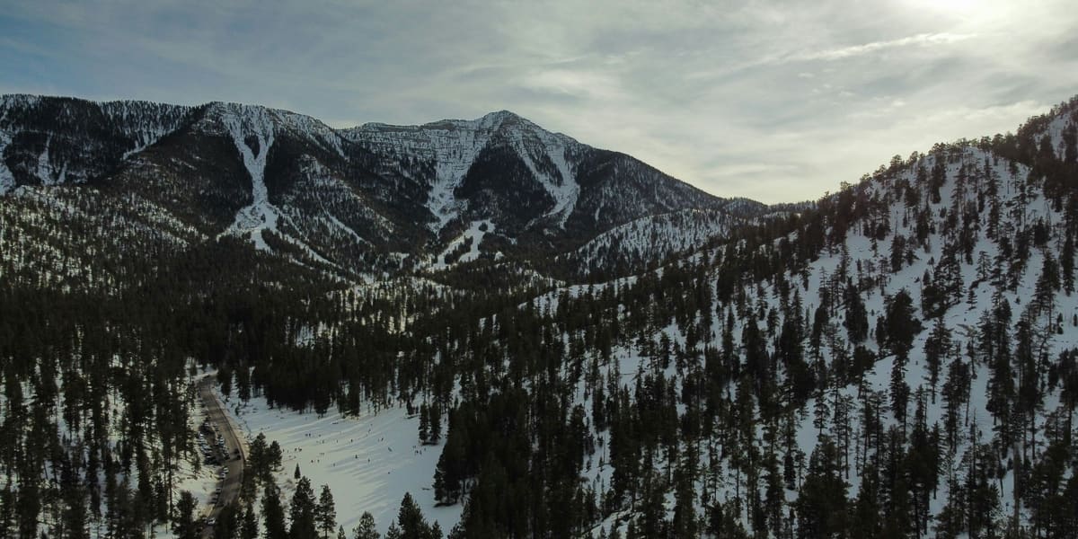 Snow-covered mountain slopes and pine forest under a cloudy sky on Mount Charleston